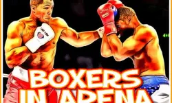 Boxers in Arena image