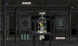 Parrots Escape image