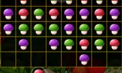 Mushroom Puzzles image
