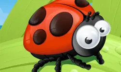Ladybug Slide image