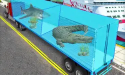 Transport Sea Animal image