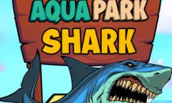 Aqua Park Shark image
