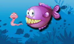 Fishy Differences image