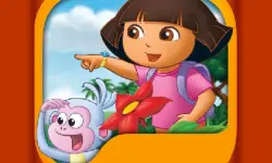 Dora Memory Challenge image