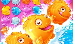 Shell Splash image
