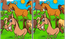 Animals Differences image