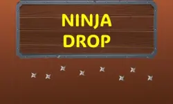 Ninja Drop image