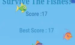 Survive The Fishes image