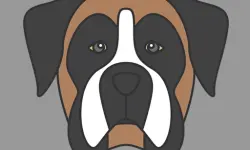 Doggy Face Coloring image