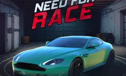 Need for Race image