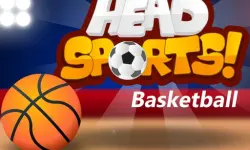 Head Sports Basketball image