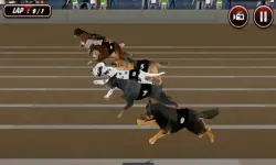 Crazy Dog Racing Simulator Games 3D image