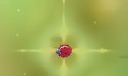 Pest Control image