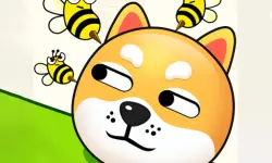 Save Dogs from Bee image