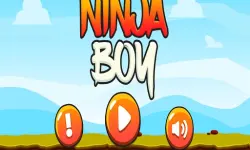 Ninja Boy ! image