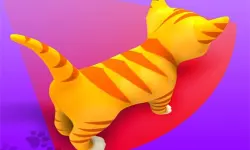 Cat Escape 2 image