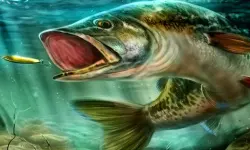 Ultimate Fishing Simulator image