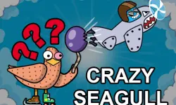 Crazy Seagull image