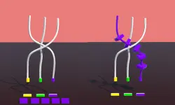 Twisted Rods image