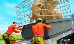 Cargo Truck: Transport & Hunt image