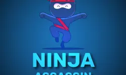 Ninja Assassin image