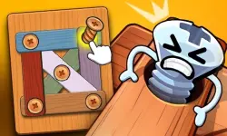 Wood Bolts Nuts Screw Pin Puzzle image