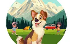 Dog Hide N Seek image