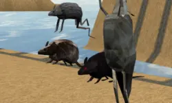 Mouse Race Islands image
