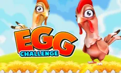 Egg Challenge image