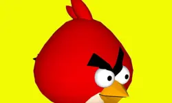3D Floating Bird image