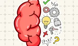 Brain Tricky Puzzles image