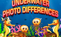 Underwater Photo Differences image