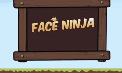 Face Ninja image