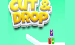 Cut And Drop Puzzle image
