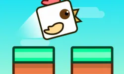 Chicken Jumper image