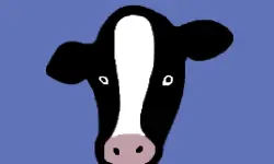 Paint Cow image