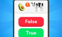 True False - Quiz image