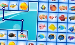 Fish Connections image