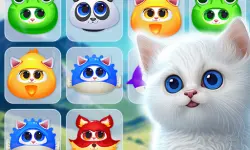 Kitty Jewel Quest image