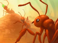 Ants io image