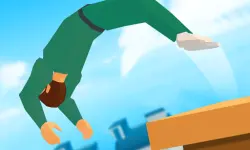 Crazy Backflip 3D image