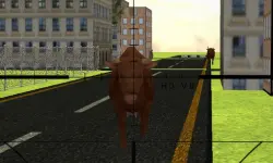 Angry Bull Attack image