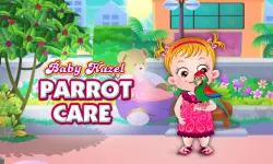 Baby Hazel Parrot Care image