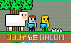 Obby vs Bacon MCSkyblock image