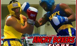 Angry Boxers Fight image