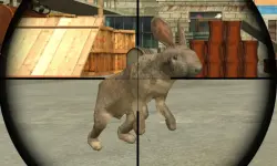 Rabbit Shooter image