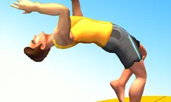 Flip Trickster image