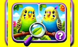 image bg Budgie Spot the Difference
