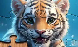 Master Jigsaw Puzzle Game image