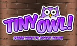 Tiny Owl image